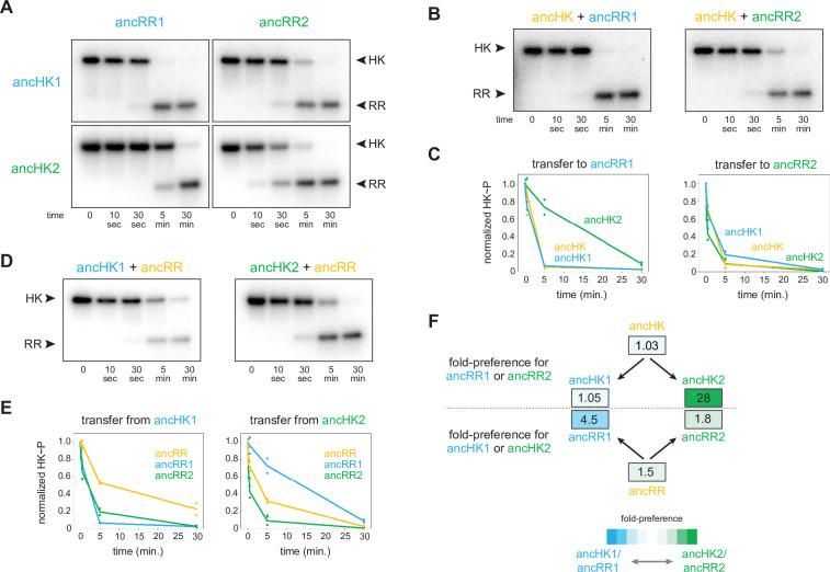https://cdn.ncbi.nlm.nih.gov/pmc/blobs/1881/9208753/3930e9423126/elife-77346-fig3.jpg
