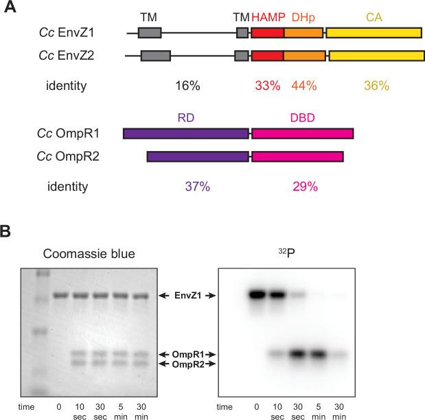 https://cdn.ncbi.nlm.nih.gov/pmc/blobs/1881/9208753/3fe9d0d0365c/elife-77346-fig1-figsupp1.jpg