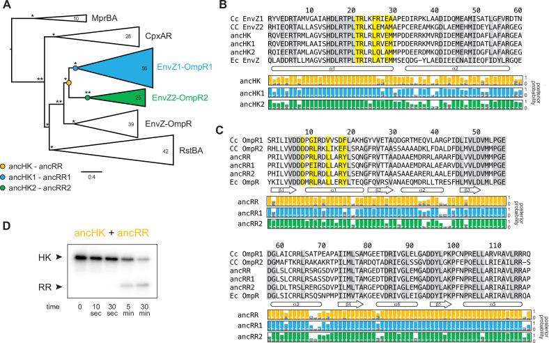 https://cdn.ncbi.nlm.nih.gov/pmc/blobs/1881/9208753/84703396f7e7/elife-77346-fig2.jpg