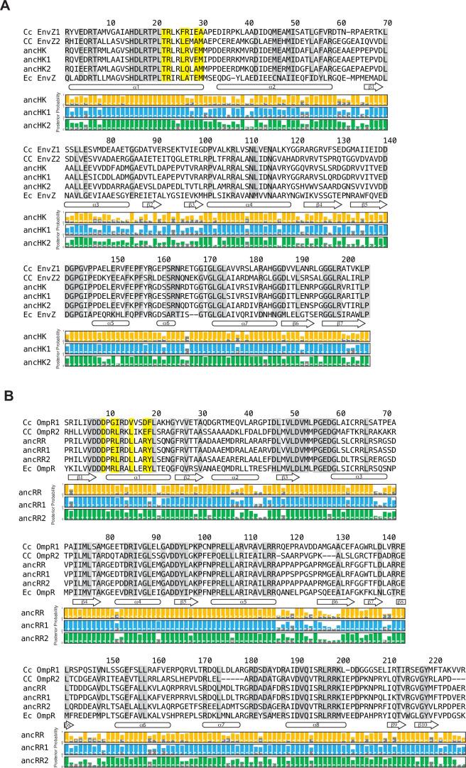 https://cdn.ncbi.nlm.nih.gov/pmc/blobs/1881/9208753/8cc772beaac3/elife-77346-fig2-figsupp3.jpg