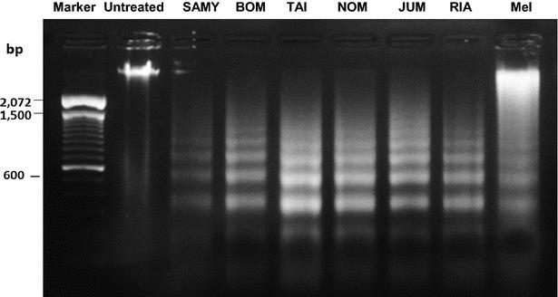 https://cdn.ncbi.nlm.nih.gov/pmc/blobs/1884/4818408/0fb453bf4528/13020_2016_85_Fig5_HTML.jpg