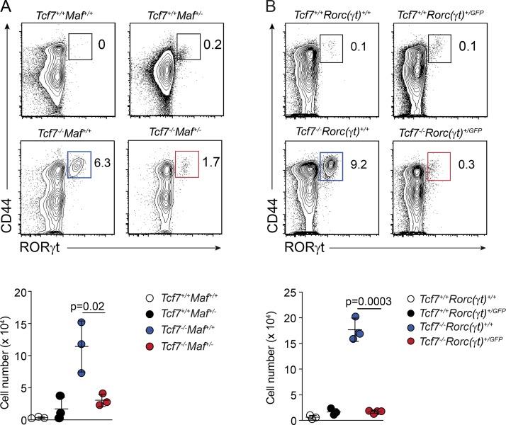 https://cdn.ncbi.nlm.nih.gov/pmc/blobs/1884/6605755/a3e73082e3c7/JEM_20181778_Fig6.jpg
