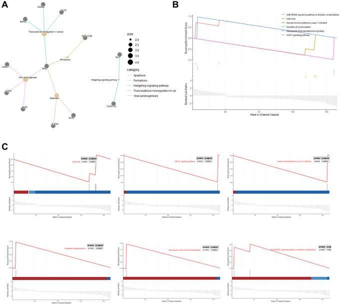 https://cdn.ncbi.nlm.nih.gov/pmc/blobs/1886/10929794/b45e8d7d4919/aging-16-205546-g005.jpg