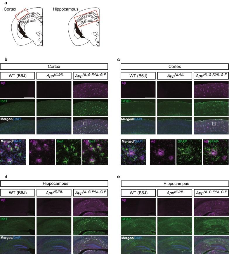 https://cdn.ncbi.nlm.nih.gov/pmc/blobs/1886/6425634/fb2d562f701f/12868_2019_496_Fig3_HTML.jpg
