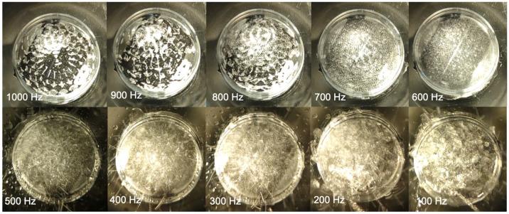 https://cdn.ncbi.nlm.nih.gov/pmc/blobs/188a/10741028/232c304028af/bioengineering-10-01414-g010.jpg