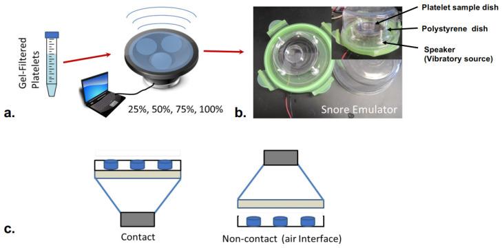 https://cdn.ncbi.nlm.nih.gov/pmc/blobs/188a/10741028/7d07517edd6e/bioengineering-10-01414-g001.jpg