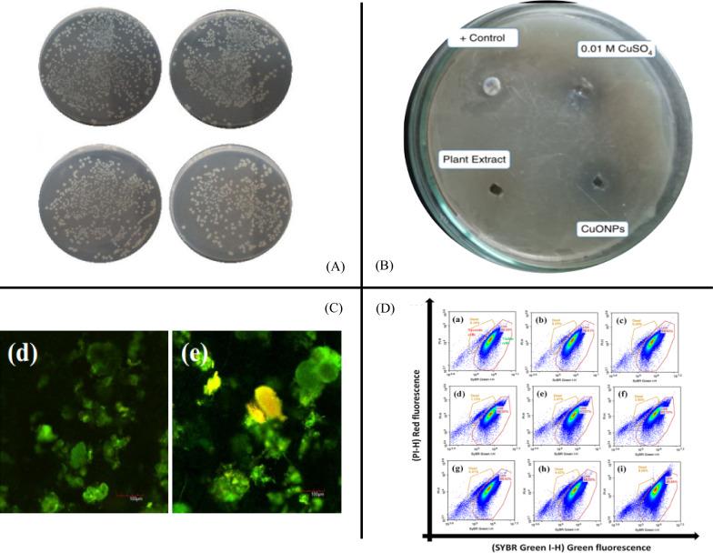 https://cdn.ncbi.nlm.nih.gov/pmc/blobs/188b/10026445/9e41b8d5549b/12951_2023_1851_Fig1_HTML.jpg