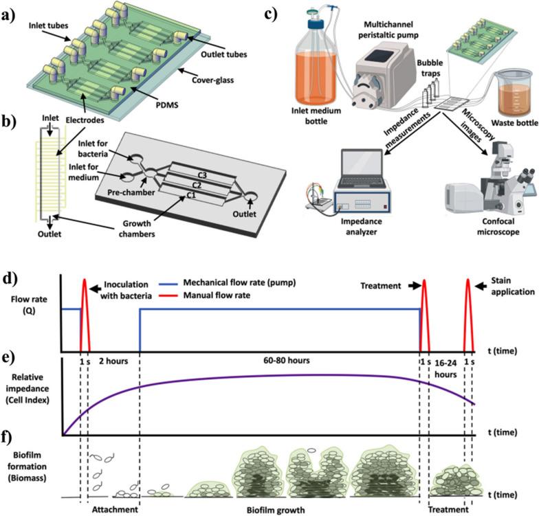 https://cdn.ncbi.nlm.nih.gov/pmc/blobs/188b/10026445/d8ee2ec56ec8/12951_2023_1851_Fig6_HTML.jpg