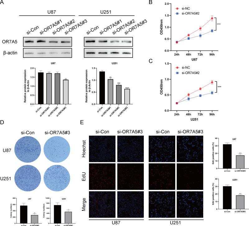 https://cdn.ncbi.nlm.nih.gov/pmc/blobs/188b/11246023/cff69889e9cf/peerj-12-17631-g011.jpg