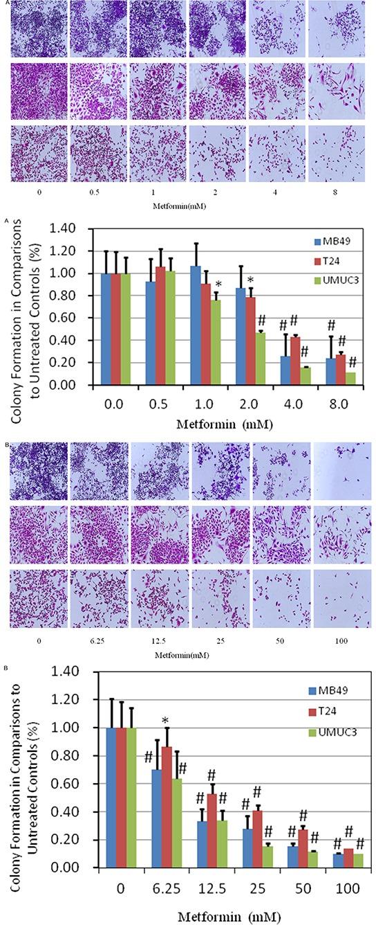 https://cdn.ncbi.nlm.nih.gov/pmc/blobs/188e/4891029/cdffeccfc09e/oncotarget-07-9102-g002.jpg