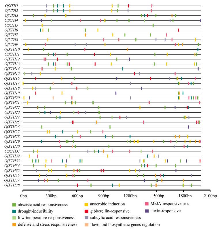 https://cdn.ncbi.nlm.nih.gov/pmc/blobs/188e/9031776/69d3d0bb617c/plants-11-01015-g005.jpg