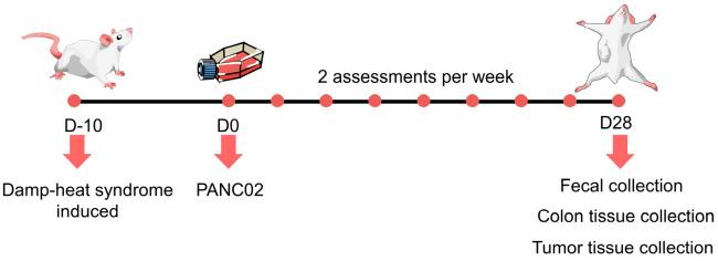 https://cdn.ncbi.nlm.nih.gov/pmc/blobs/1891/11504882/4d06c3cc6228/biomedicines-12-02360-g001.jpg