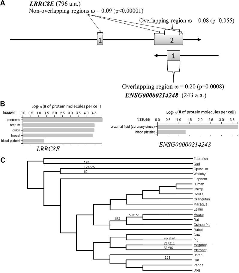 https://cdn.ncbi.nlm.nih.gov/pmc/blobs/1891/4316641/8fe68f870e5b/evu294f6p.jpg