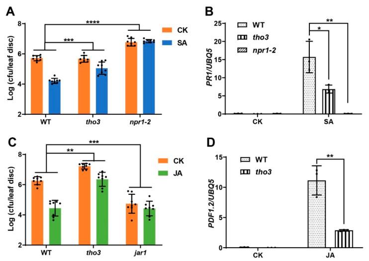 https://cdn.ncbi.nlm.nih.gov/pmc/blobs/1891/8619553/3c2cda3b80cf/ijms-22-12197-g005.jpg