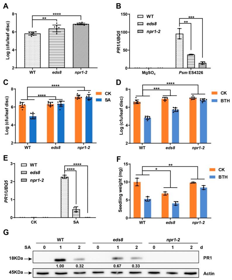 https://cdn.ncbi.nlm.nih.gov/pmc/blobs/1891/8619553/d6bccdfe4bde/ijms-22-12197-g001.jpg