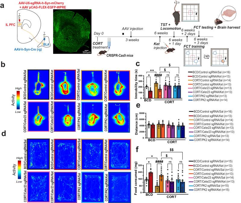 https://cdn.ncbi.nlm.nih.gov/pmc/blobs/1892/11165002/b8f704c72edf/41467_2024_48257_Fig5_HTML.jpg