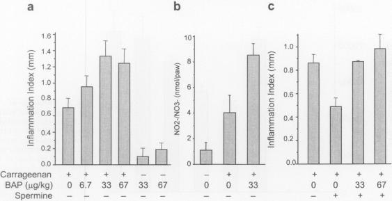 https://cdn.ncbi.nlm.nih.gov/pmc/blobs/1892/2230461/6f45d6248eab/molmed00009-0040-a.jpg
