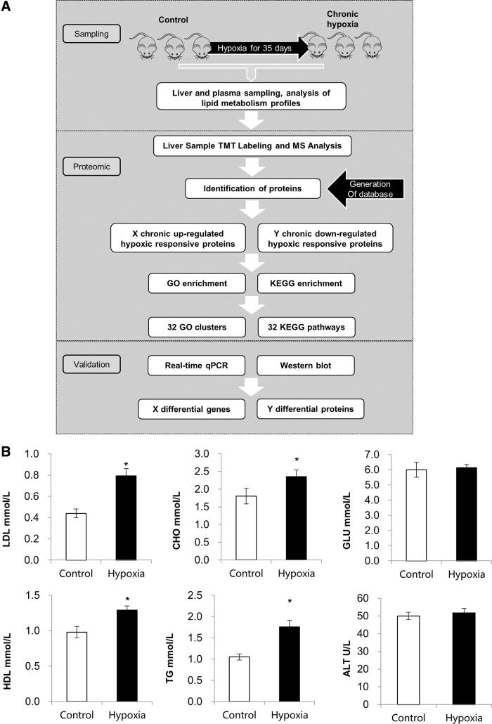 https://cdn.ncbi.nlm.nih.gov/pmc/blobs/1893/10027340/7c21d87407cb/ham.2022.0003_figure1.jpg