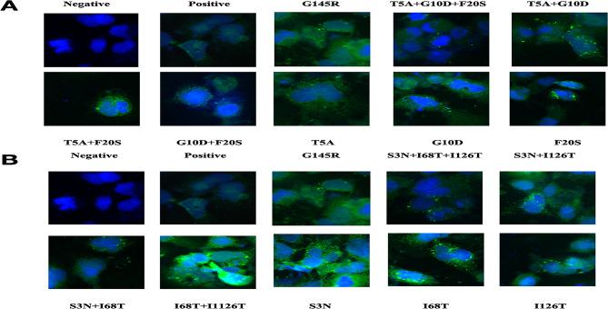 https://cdn.ncbi.nlm.nih.gov/pmc/blobs/1893/11040738/bf5cf18b4fa6/12985_2024_2366_Fig2_HTML.jpg