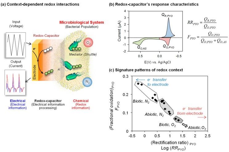 https://cdn.ncbi.nlm.nih.gov/pmc/blobs/1893/6352696/f787943350f3/biomimetics-02-00011-g008.jpg