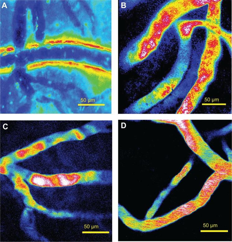https://cdn.ncbi.nlm.nih.gov/pmc/blobs/1896/4173757/0e03a0acb285/ijn-9-4437Fig5.jpg