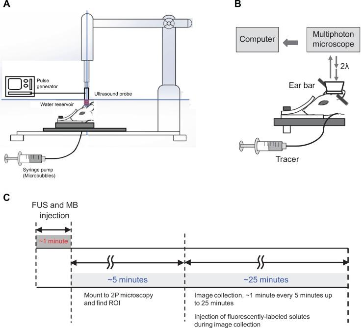 https://cdn.ncbi.nlm.nih.gov/pmc/blobs/1896/4173757/e1e885348d06/ijn-9-4437Fig3.jpg
