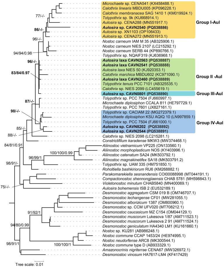 https://cdn.ncbi.nlm.nih.gov/pmc/blobs/1897/12130836/0095bee67d98/fmicb-16-1581725-g002.jpg