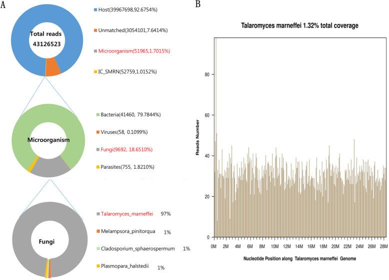https://cdn.ncbi.nlm.nih.gov/pmc/blobs/1898/7594432/b61647945f70/12879_2020_5526_Fig4_HTML.jpg