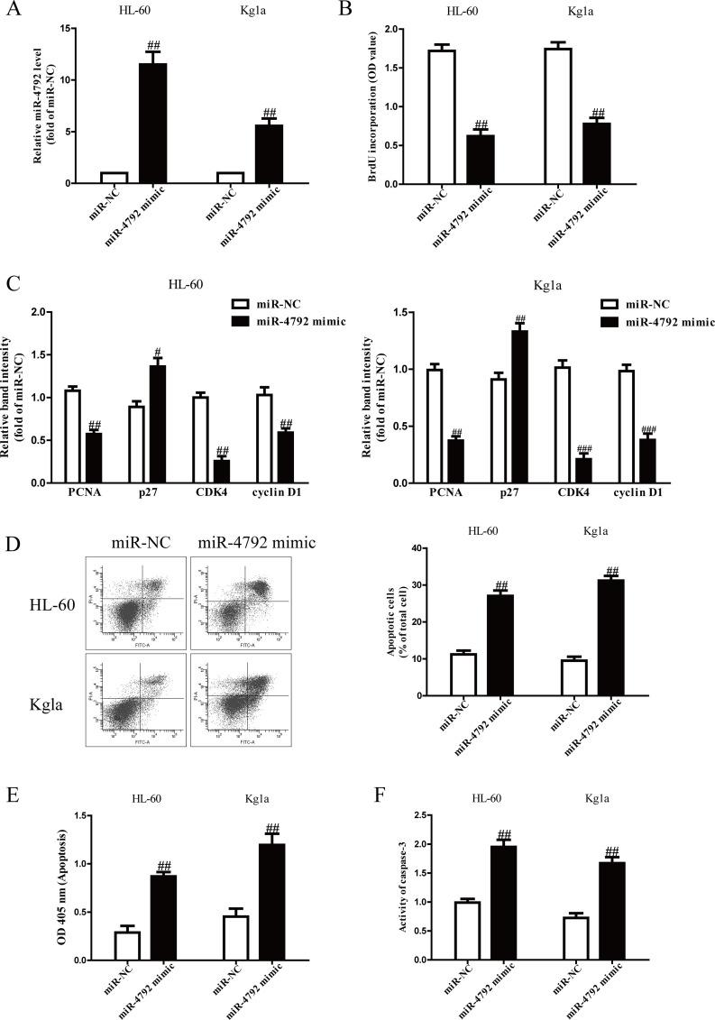 https://cdn.ncbi.nlm.nih.gov/pmc/blobs/1898/7851533/72d398a7ce1b/OR-28-357-g002.jpg