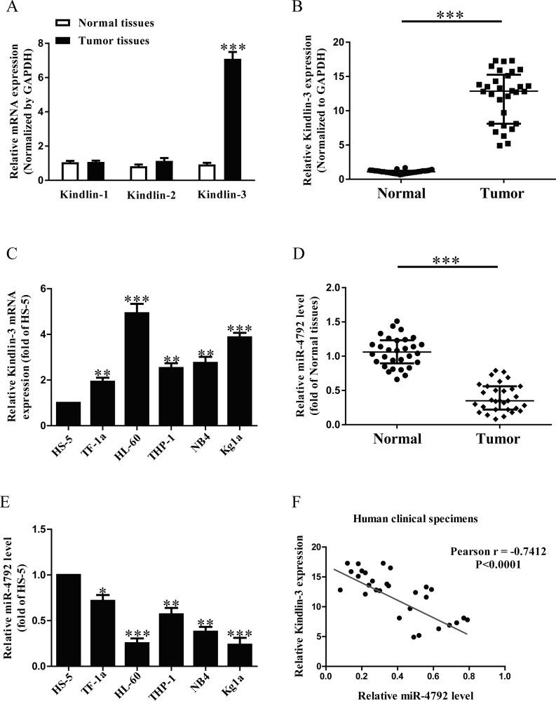 https://cdn.ncbi.nlm.nih.gov/pmc/blobs/1898/7851533/bdc2f4e4727d/OR-28-357-g001.jpg