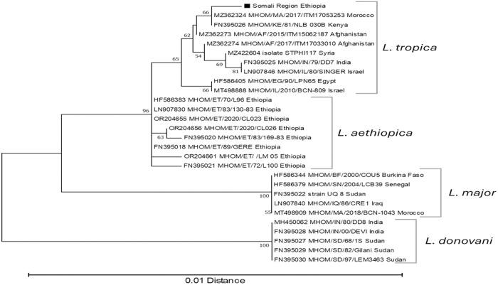https://cdn.ncbi.nlm.nih.gov/pmc/blobs/1899/12324667/9643f9eb11f2/pntd.0013246.g006.jpg