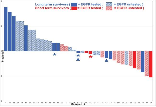 https://cdn.ncbi.nlm.nih.gov/pmc/blobs/189a/5620281/5ffda4efe6f9/oncotarget-08-68599-g004.jpg