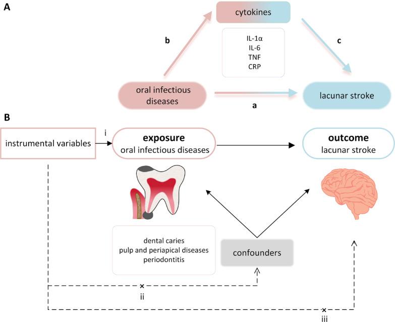 https://cdn.ncbi.nlm.nih.gov/pmc/blobs/189d/12084548/6941cec81a97/41598_2025_99742_Fig1_HTML.jpg