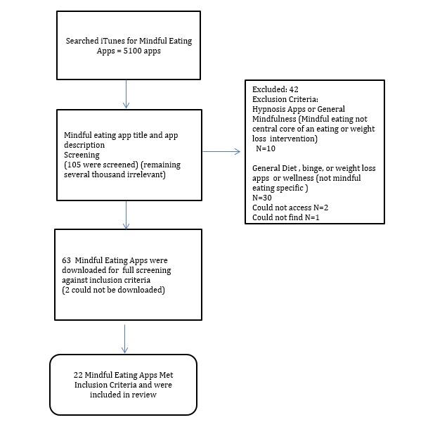 https://cdn.ncbi.nlm.nih.gov/pmc/blobs/189d/6727629/1d45dc0b979f/mental_v6i8e12820_fig1.jpg
