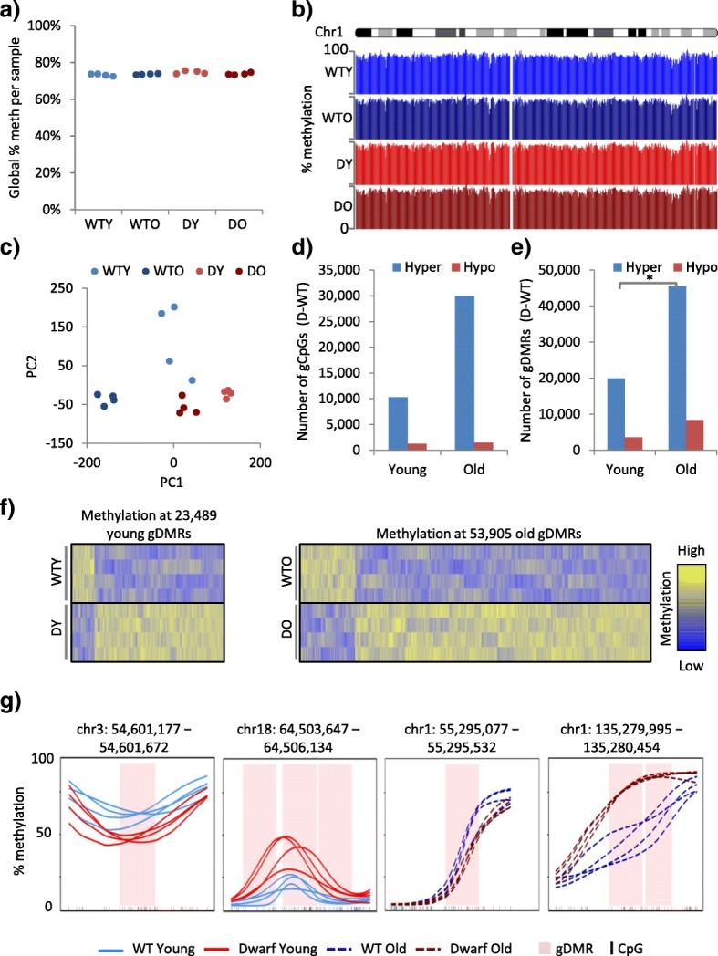 https://cdn.ncbi.nlm.nih.gov/pmc/blobs/189e/5370462/e3a9e34e8a12/13059_2017_1185_Fig1_HTML.jpg