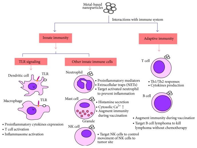 https://cdn.ncbi.nlm.nih.gov/pmc/blobs/18a0/4466342/9f2d7d1582a7/BMRI2015-143720.001.jpg