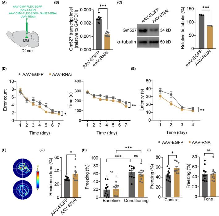 https://cdn.ncbi.nlm.nih.gov/pmc/blobs/18a2/10580352/3eb438b153e8/CNS-29-3290-g009.jpg