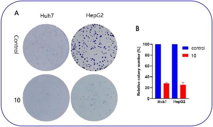 https://cdn.ncbi.nlm.nih.gov/pmc/blobs/18a2/10821474/ed42d0530980/molecules-29-00393-g004.jpg