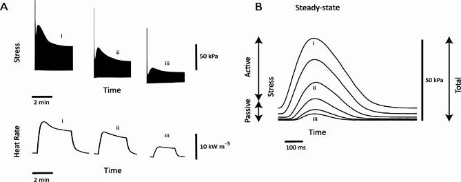 https://cdn.ncbi.nlm.nih.gov/pmc/blobs/18a2/11682250/c05523f074d7/41598_2024_82604_Fig1_HTML.jpg