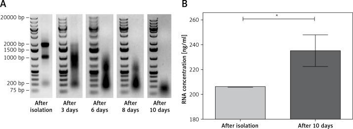 https://cdn.ncbi.nlm.nih.gov/pmc/blobs/18a2/8314425/895a19c4ebde/AMS-17-4-91792-g003.jpg