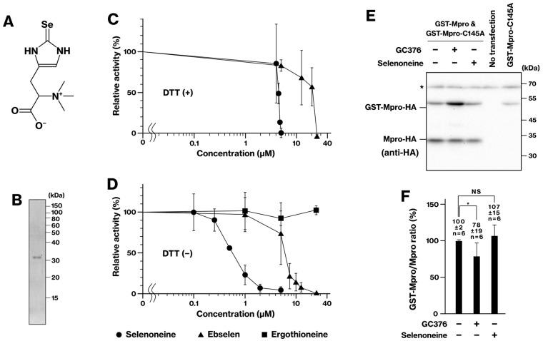 https://cdn.ncbi.nlm.nih.gov/pmc/blobs/18a3/11172239/9b5d10af9889/ijms-25-05767-g005.jpg