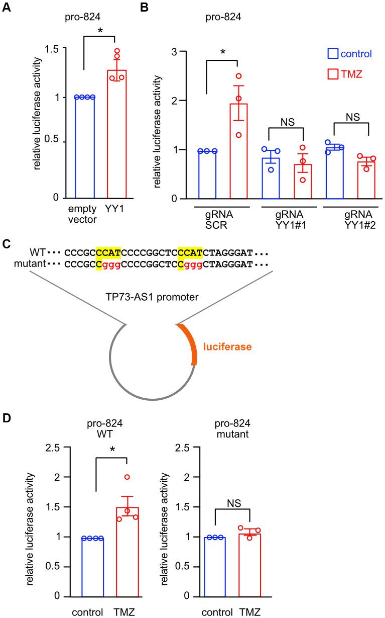 https://cdn.ncbi.nlm.nih.gov/pmc/blobs/18a4/8221307/f3f1bd7b09ae/aging-13-203182-g005.jpg