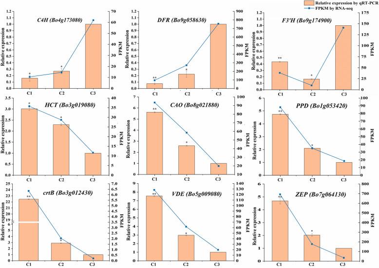 https://cdn.ncbi.nlm.nih.gov/pmc/blobs/18a5/8212504/beca003919d5/12864_2021_7785_Fig8_HTML.jpg