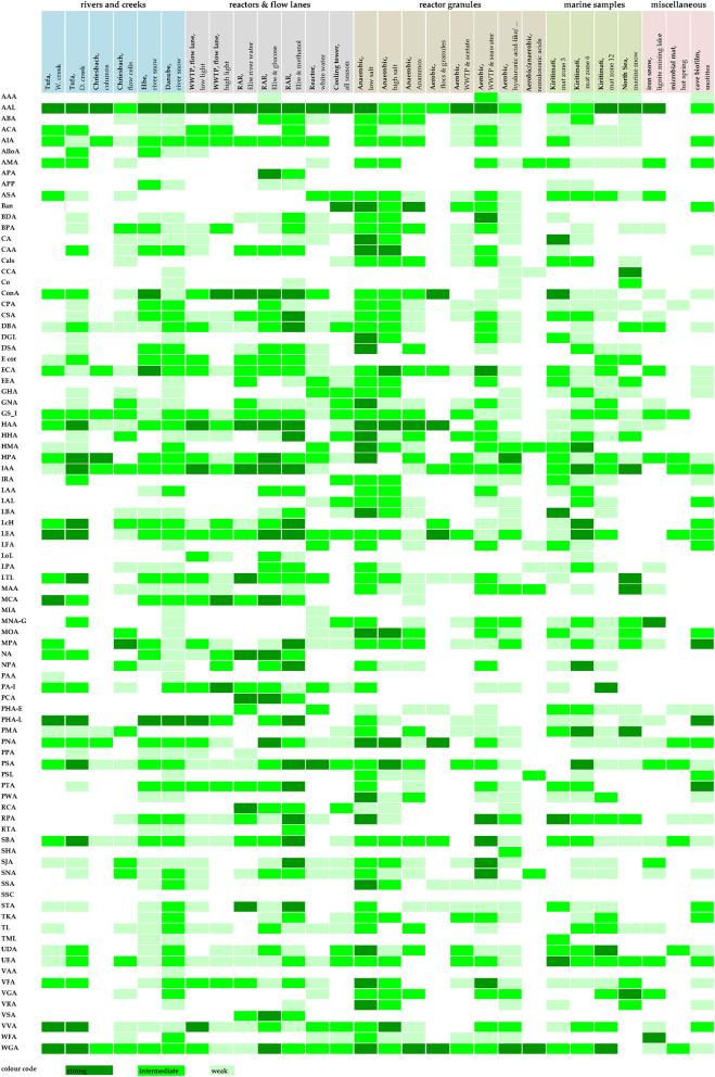 https://cdn.ncbi.nlm.nih.gov/pmc/blobs/18a6/9395170/d56248e36dd7/fmicb-13-940280-g0002.jpg
