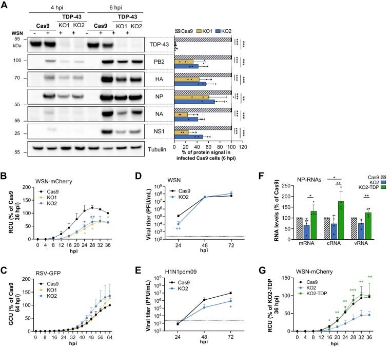 https://cdn.ncbi.nlm.nih.gov/pmc/blobs/18a9/11229366/718afb673b44/gkae291fig4.jpg