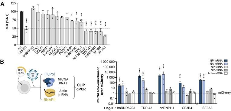 https://cdn.ncbi.nlm.nih.gov/pmc/blobs/18a9/11229366/9fc13bd2648b/gkae291fig3.jpg