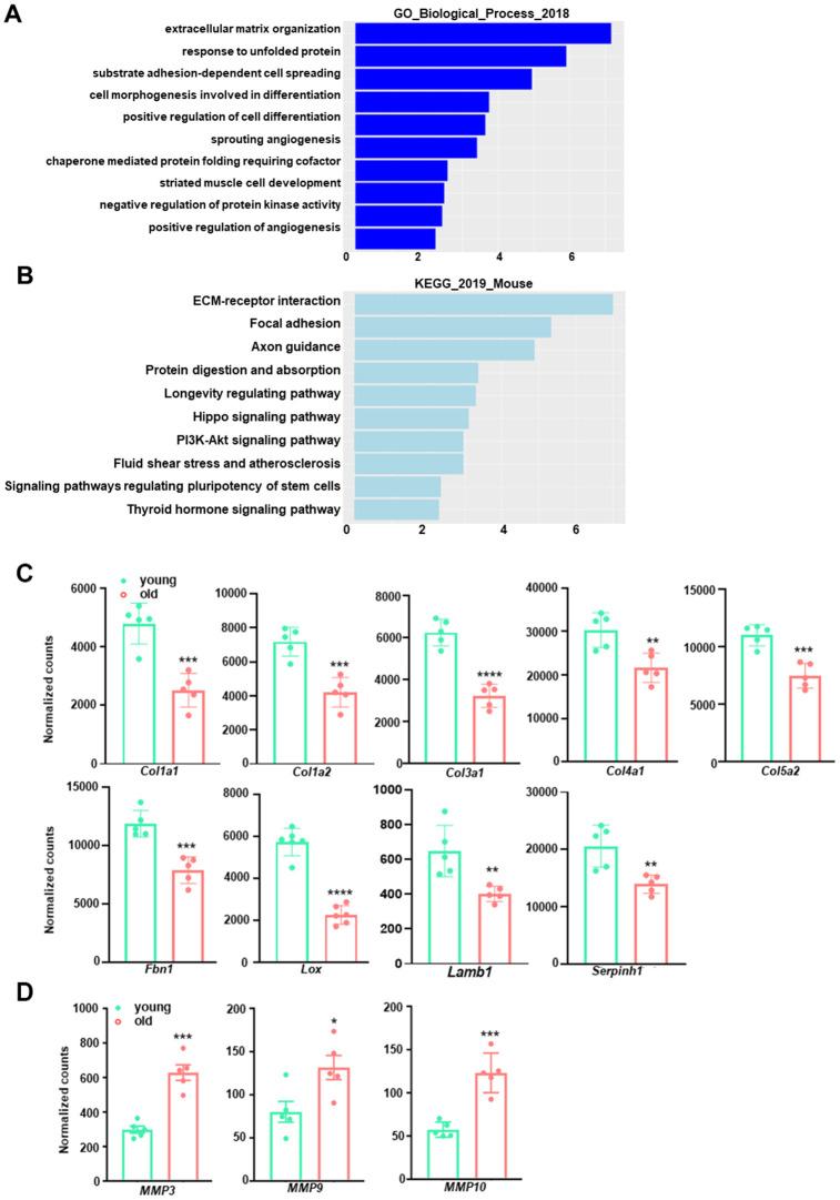 https://cdn.ncbi.nlm.nih.gov/pmc/blobs/18a9/7467355/f8c604eb1c8e/aging-12-103652-g003.jpg