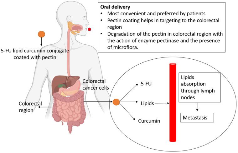https://cdn.ncbi.nlm.nih.gov/pmc/blobs/18a9/9224881/9a7b2524b676/life-12-00811-g003.jpg
