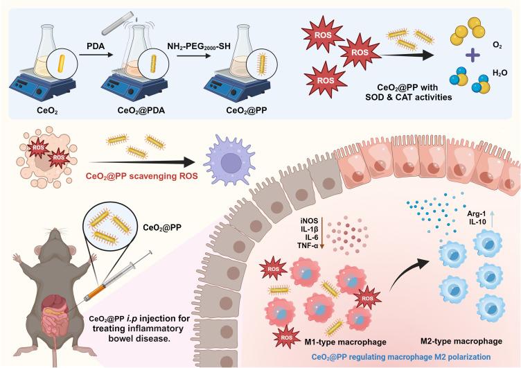 https://cdn.ncbi.nlm.nih.gov/pmc/blobs/18ad/10437713/67c15bc62ba0/IJN-18-4601-g0001.jpg
