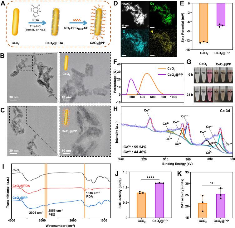 https://cdn.ncbi.nlm.nih.gov/pmc/blobs/18ad/10437713/8b3c532f530f/IJN-18-4601-g0002.jpg